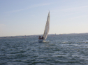 RIMG3768.JPG