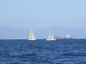 RIMG3773.JPG