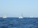 RIMG3776.JPG