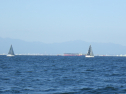 RIMG3779.JPG