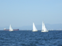 RIMG3780.JPG