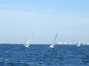 RIMG3783.JPG