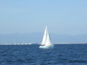 RIMG3784.JPG
