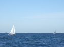 RIMG3785.JPG