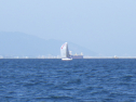 RIMG3786.JPG