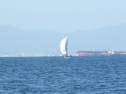 RIMG3787.JPG