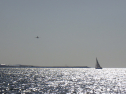 RIMG3790.JPG