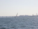 RIMG3791.JPG
