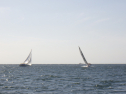 RIMG3797.JPG