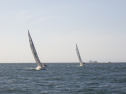 RIMG3798.JPG