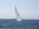 RIMG3806.JPG