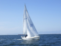 RIMG3807.JPG