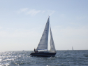 RIMG3809.JPG
