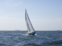 RIMG3812.JPG