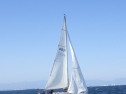 RIMG3814.JPG