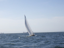 RIMG3816.JPG