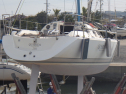 RIMG2917.JPG