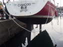 RIMG2993.JPG