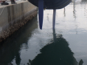 RIMG3055.JPG