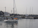 RIMG3101.JPG