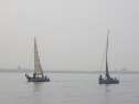 RIMG3106.JPG