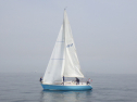 RIMG3110.JPG