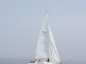 RIMG3115.JPG