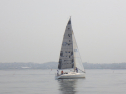 RIMG3116.JPG