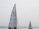 RIMG3117.JPG