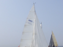 RIMG3126.JPG