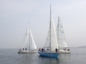 RIMG3129.JPG
