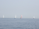 RIMG3140.JPG