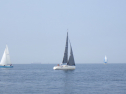 RIMG3145.JPG