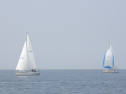 RIMG3146.JPG