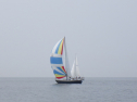 RIMG3149.JPG
