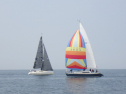 RIMG3150.JPG