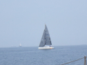 RIMG3156.JPG