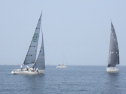 RIMG3157.JPG