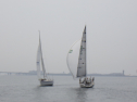 RIMG3163.JPG