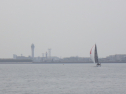 RIMG3164.JPG