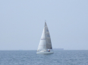 RIMG3167.JPG
