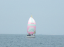 RIMG3168.JPG