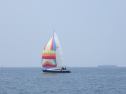 RIMG3174.JPG