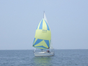 RIMG3176.JPG