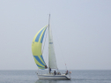 RIMG3179.JPG
