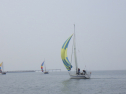 RIMG3180.JPG
