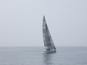 RIMG3182.JPG