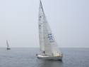 RIMG3194.JPG