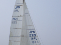 RIMG3195.JPG