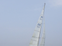 RIMG3196.JPG